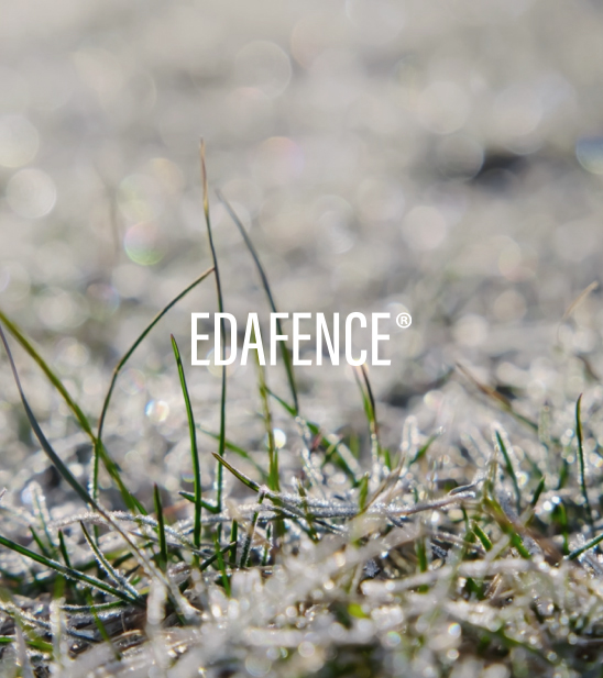 Cantabria Labs – ENDOCARE Hyaluboost Gel Cream, 50ml - Image 5